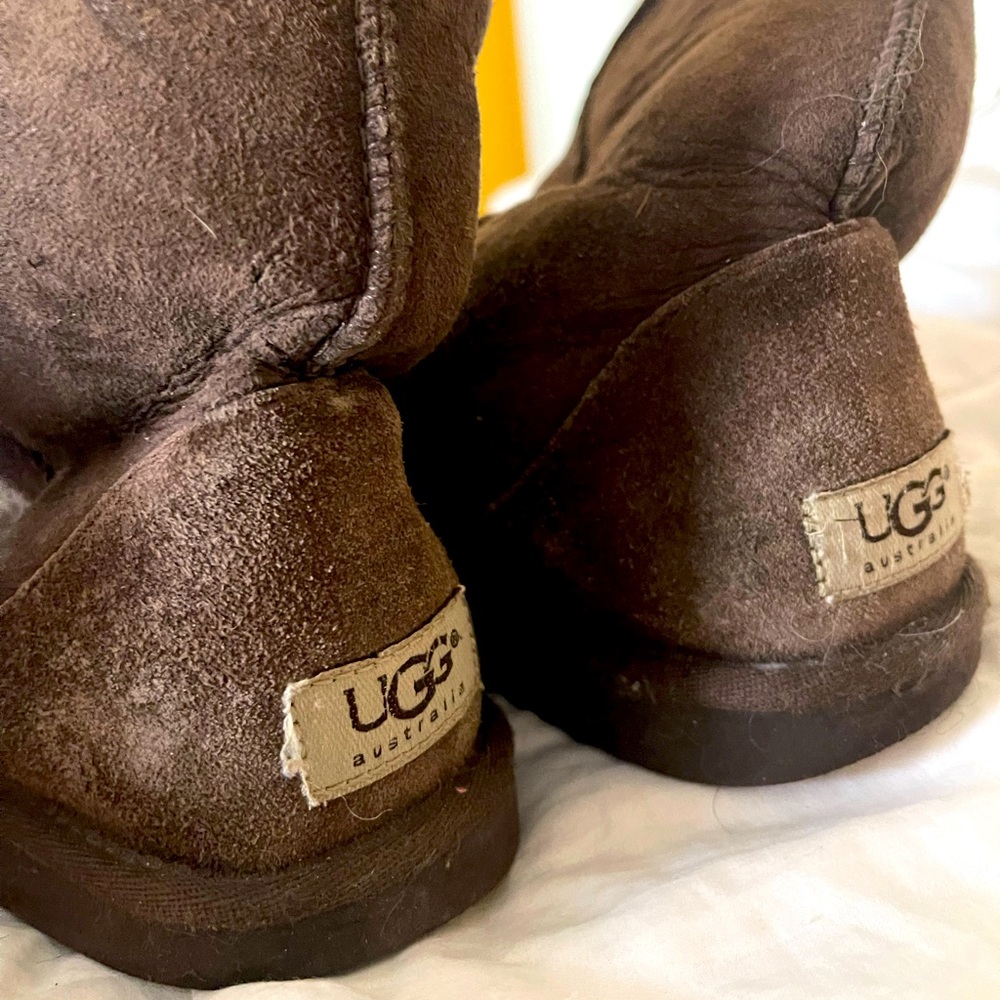 Classic Short Ugg in Chocolate 7